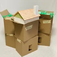box sculpture titled "Packing"