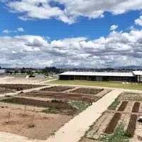 Arial view of the Agricultural Science Complex gardens and plots