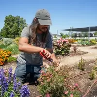 Student working in garden 