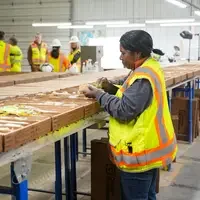 Student examines drill core