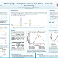 Audrey Shell Project