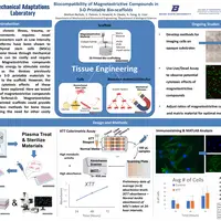 Bretton Nichols Project