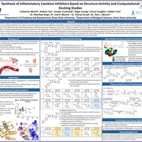 Catherine Merrill Project