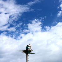 Ospreys live on every continent of the world—except for Antarctica—and spend most of their time fishing near lakes and rivers.