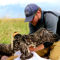 Ospreys are valuable to the ecosystem and useful in helping humans understand how they use the land.