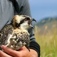 Each student was responsible for collecting and analyzing his or her own data.