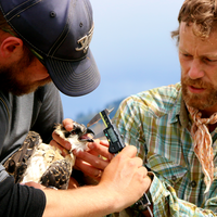 Ty Styhl, a CWI graduate and current University of Idaho student, has been working on this project for the past three years.