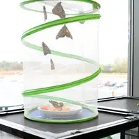 Monarch Research Project at CWI