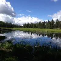 Landscape of water, trees and sky