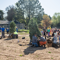 Students, volunteers, and community members gathered at CWI’s new arboretum to plant 40 trees in celebration of Arbor Day, helpi