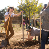 Students, volunteers, and community members gathered at CWI’s new arboretum to plant 40 trees in celebration of Arbor Day, helpi