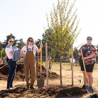 Students, volunteers, and community members gathered at CWI’s new arboretum to plant 40 trees in celebration of Arbor Day, helpi