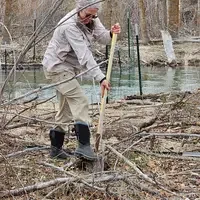 Volunteer planting plants along river