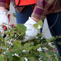 Horticulture students help to maintain the College’s Native Plant Garden.