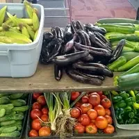 Table of vegetables from the community garden grown by students