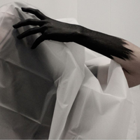 "Mother Nature's Shroud" by Chy Boyle