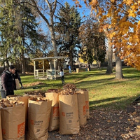 People raking leaves and putting into bags