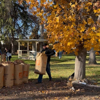 People picking up bags of leaves