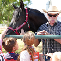 Kids meeting a horse