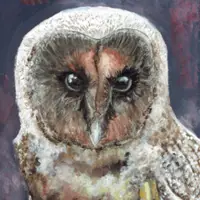 "I'm Watching You" by Isabella Wildt