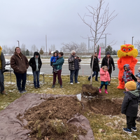 Students, staff, and faculty standing around tree plot