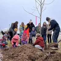 Preschool students helping plant the tree