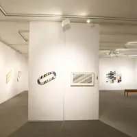 Alison Reintjes Art wall