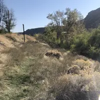 Weeds students helped get rid of