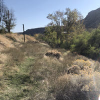 Weeds students helped get rid of