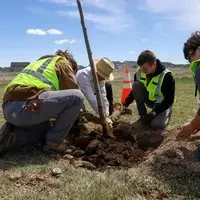 Students digging to plant a tree