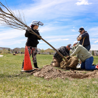 Students and faculty working together