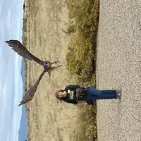 Bird flying midshow at Birds of Prey