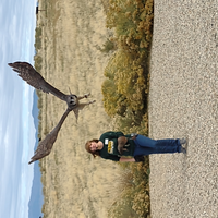 Bird flying midshow at Birds of Prey