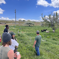 Students on tour of farm
