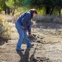 Student planting at Restoration Week - Raking