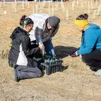 Students planting at Restoration Week - Identifying plants