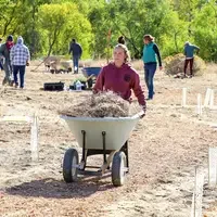 Student planting at Restoration Week - Wheelbarrow
