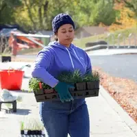 Student planting at Restoration Week - Carrying plants