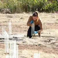 Student planting at Restoration Week - protecting plants with netting
