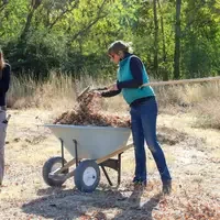 Instructor planting at Restoration Week - Raking brush