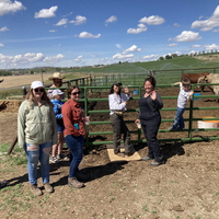Students on farm checking out livestock