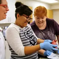 Students looking at pork heart in classroom.