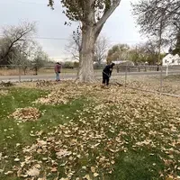 Volunteers working in a lawn