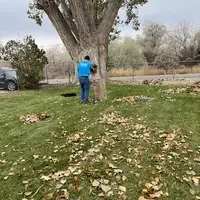 Volunteer putting leaves in a bag