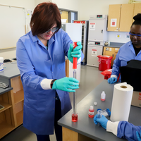 Students using equipment in lab
