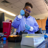 INBRE student scholar working on research project