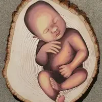 "In the Womb" by Arielle Johnson