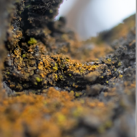 "Life Continues" by Kaity Jordan