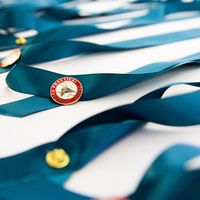 Licensed Practical Nurse pin on teal ribbon