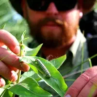 CWI Biology program student Vance McFarland spent the summer researching Monarch activity (pictured here at Deer Flat National Wildlife Refuge in Nampa). He served as the project’s student lead.